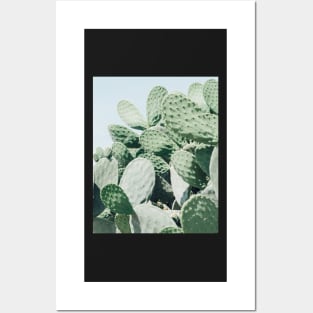 Plant print, Cacti, Cactus print, Scandinavian print, Scandinavian, Trendy print, Styled, Scandinavian art, Modern art, Wall art, Print, Minimalistic, Modern Posters and Art